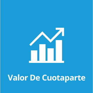 Valor de Cuotaparte